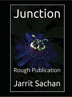 Junction Paperback Book - Jarrit Sachan